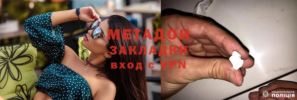 сатива Богданович