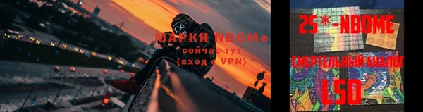 mdpv Богородск