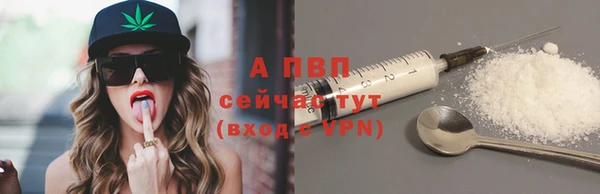 сатива Богданович