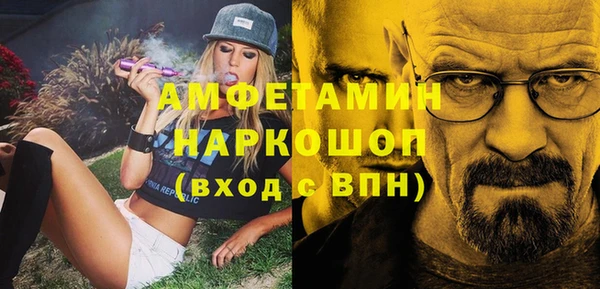 сатива Богданович