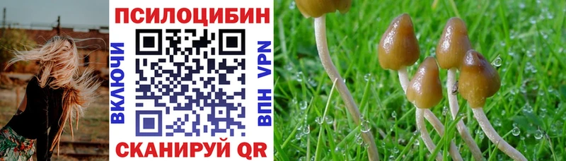 Галлюциногенные грибы мицелий хочу наркоту Большой Камень